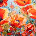 Dream Dictionary Poppies