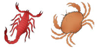 Scorpio and Cancer Zodiac