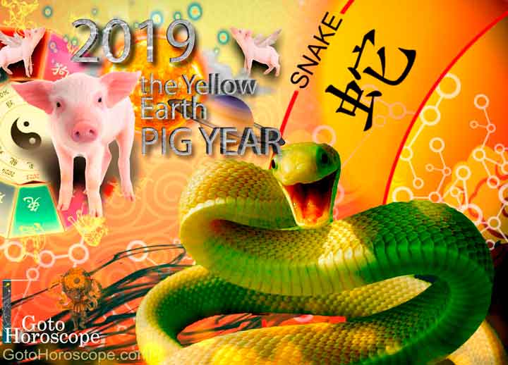 snake daily horoscope