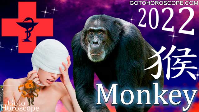 Chinese Horoscope 2022 Monkey, free Chinese New Year Horoscope for