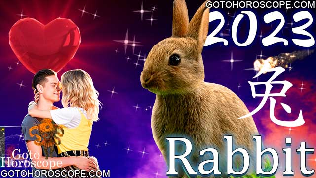 Year of the Rabbit: Chinese horoscope for the rabbit in 2023 - love,  wealth, career