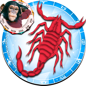 scorpio monkey compatibility