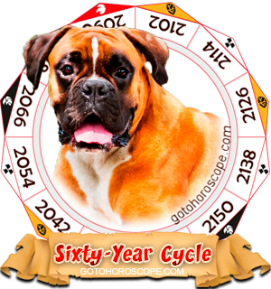 dog year chinese astrology