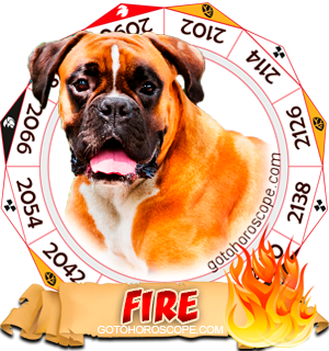 chinese fire dogs