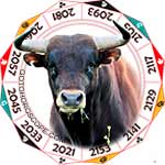 2012 Horoscope for Ox Zodiac Sign